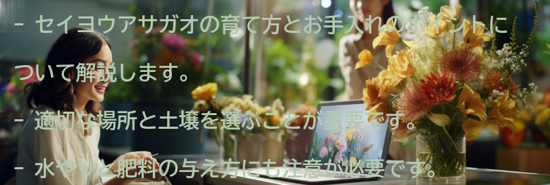 セイヨウアサガオの育て方とお手入れのポイントの要点まとめ