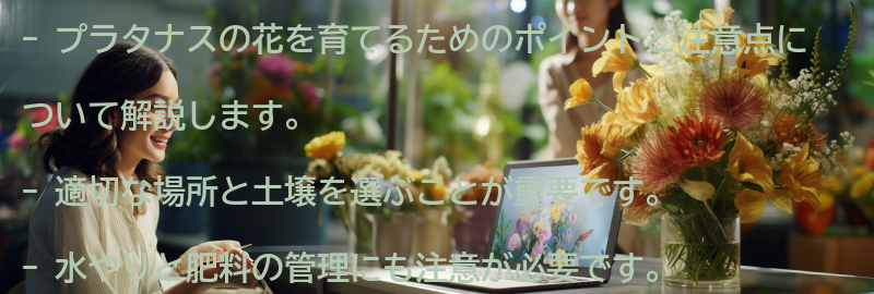 プラタナスの花を育てるためのポイントと注意点の要点まとめ