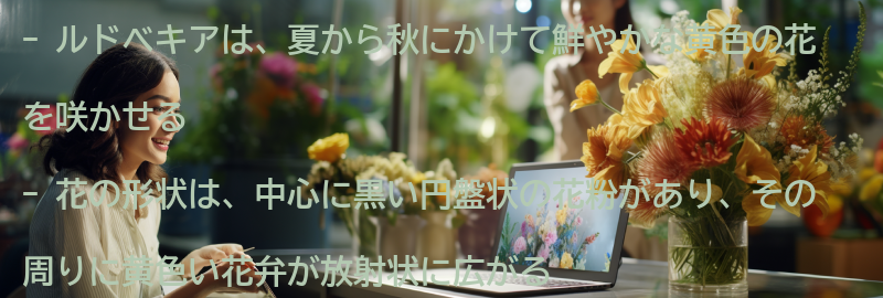 ルドベキアの花の特徴の要点まとめ