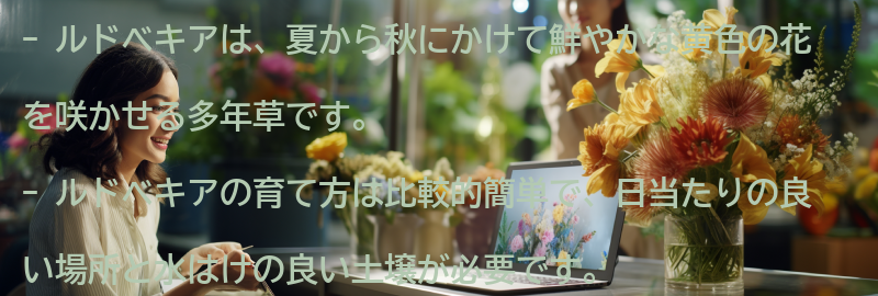 ルドベキアの育て方とおすすめの場所の要点まとめ