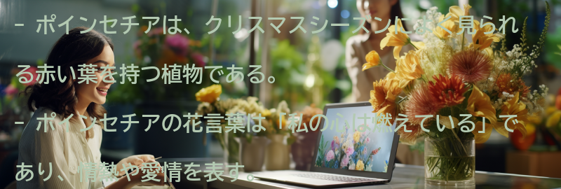 ポインセチアの花の特徴と由来の要点まとめ