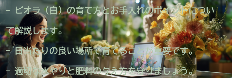 ビオラ(白)の育て方とお手入れのポイントの要点まとめ